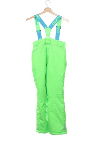 Kinderoverall für Wintersport Lewro, Größe 9-10y/ 140-146 cm, Farbe Grün, Preis 17,99 €