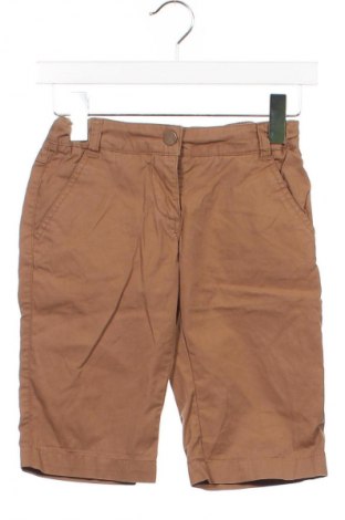 Kinder Shorts Jbc, Größe 10-11y/ 146-152 cm, Farbe Braun, Preis € 4,99