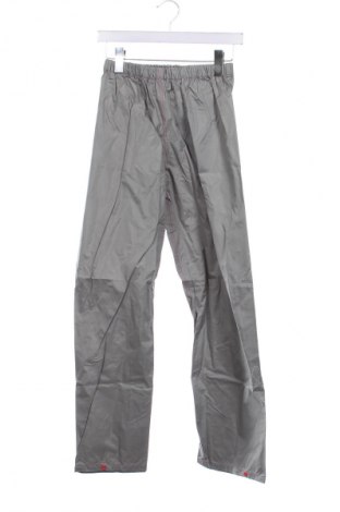 Pantaloni pentru copii, Mărime 12-13y/ 158-164 cm, Culoare Gri, Preț 48,90 Lei