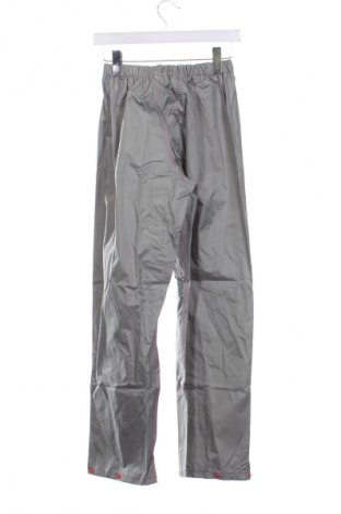 Pantaloni pentru copii, Mărime 12-13y/ 158-164 cm, Culoare Gri, Preț 48,90 Lei