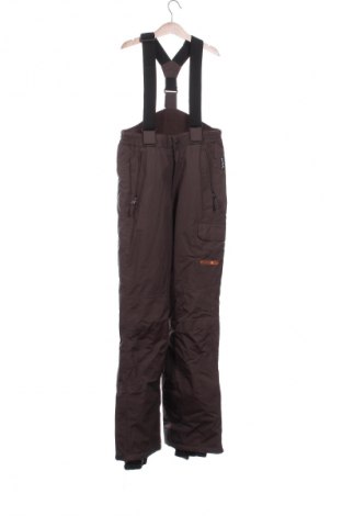 Pantaloni pentru copii pentru sporturi de iarnă Alive, Mărime 12-13y/ 158-164 cm, Culoare Maro, Preț 48,99 Lei