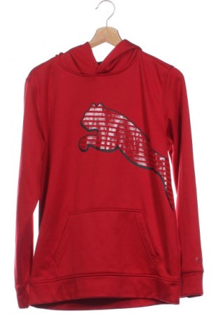 Dziecięca bluza PUMA, Rozmiar 15-18y/ 170-176 cm, Kolor Czerwony, Cena 63,99 zł