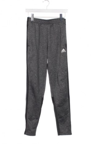 Kinder Sporthose Adidas, Größe 13-14y/ 164-168 cm, Farbe Grau, Preis 17,99 €