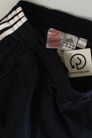 Pantaloni de trening, pentru copii Adidas, Mărime 15-18y/ 170-176 cm, Culoare Albastru, Preț 29,99 Lei