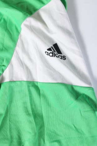 Ανδρική μπλούζα Adidas, Μέγεθος L, Χρώμα Πράσινο, Τιμή 19,29 €