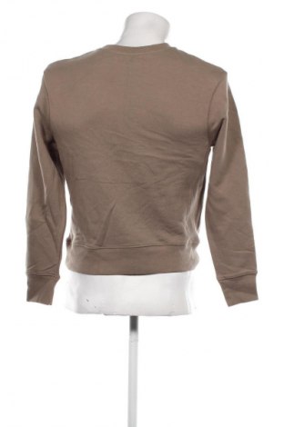 Herren Shirt Seed, Größe S, Farbe Beige, Preis € 5,99