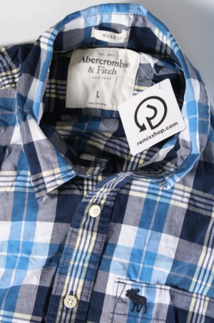 Herrenhemd Abercrombie & Fitch, Größe L, Farbe Mehrfarbig, Preis 19,49 €