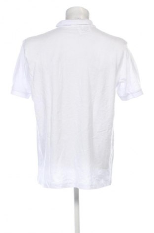 Herren T-Shirt B&C Collection, Größe XL, Farbe Weiß, Preis 9,99 €