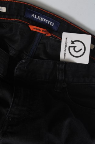 Herren Jeans Alberto, Größe M, Farbe Schwarz, Preis € 10,99