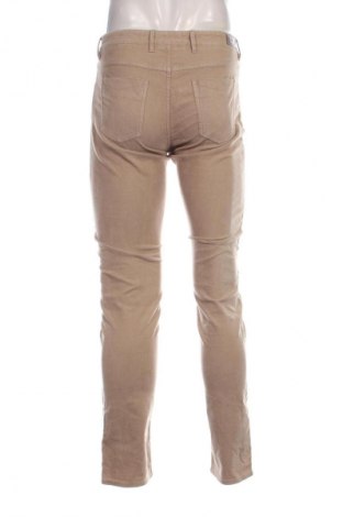 Herren Cordhose Massimo Dutti, Größe L, Farbe Beige, Preis 28,99 €