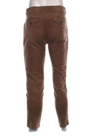 Herren Cordhose Next, Größe M, Farbe Braun, Preis € 12,99