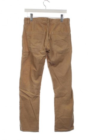 Herren Cordhose Tom Tailor, Größe M, Farbe Beige, Preis 11,99 €