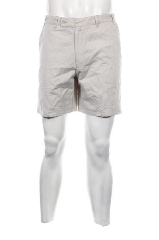 Herren Shorts, Größe M, Farbe Grau, Preis 14,49 €