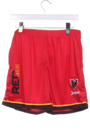 Herren Shorts, Größe M, Farbe Rot, Preis € 13,49