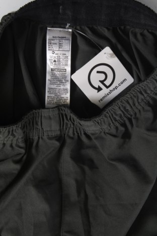 Herren Shorts Decathlon, Größe S, Farbe Grün, Preis € 13,49