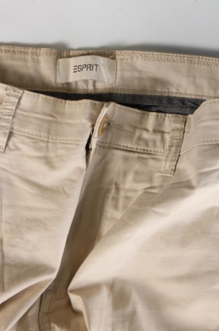 Herren Shorts Esprit, Größe L, Farbe Beige, Preis € 8,99