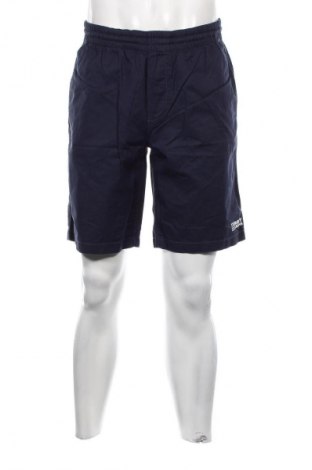 Herren Shorts Tommy Jeans, Größe S, Farbe Blau, Preis 18,49 €