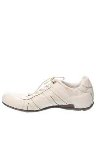 Herrenschuhe Camel Active, Größe 43, Farbe Beige, Preis € 43,99