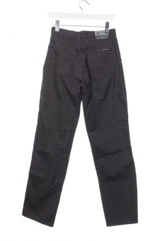 Herrenhose Bram's Paris, Größe S, Farbe Grau, Preis € 7,99