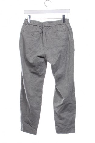 Herrenhose Brax, Größe M, Farbe Grau, Preis € 7,99