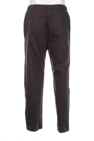 Herrenhose Ceres Life, Größe S, Farbe Grau, Preis 43,29 €