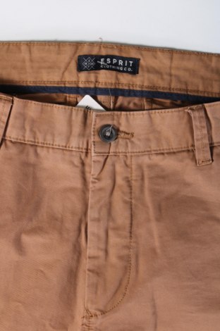 Herrenhose Esprit, Größe XL, Farbe Braun, Preis € 28,79