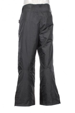 Herrenhose für Wintersport Crivit, Größe L, Farbe Grau, Preis 28,99 €