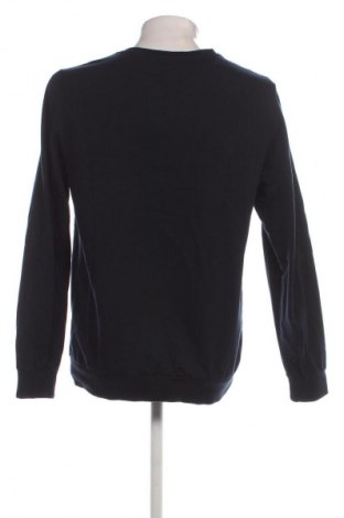 Herrenpullover Colin's, Größe L, Farbe Blau, Preis 10,99 €