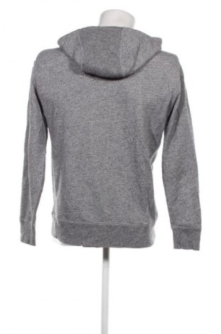 Herren Sweatshirt Hollister, Größe S, Farbe Grau, Preis 14,99 €