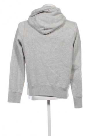 Herren Sweatshirt Hollister, Größe L, Farbe Grau, Preis € 28,99