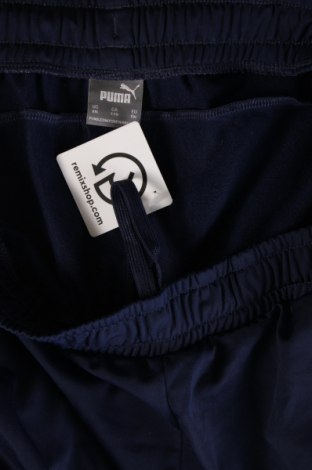 Herren Sporthose PUMA, Größe XXL, Farbe Blau, Preis 25,99 €