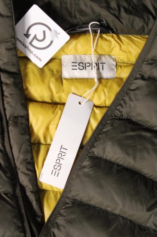 Ανδρικό μπουφάν Esprit, Μέγεθος XXL, Χρώμα Πράσινο, Τιμή 66,59 €