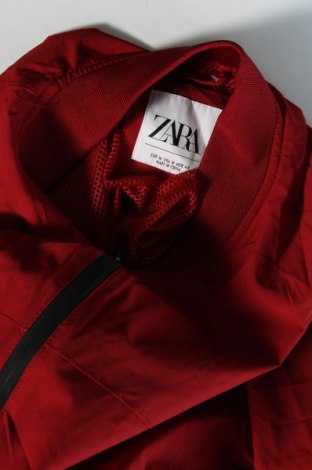 Herrenjacke Zara, Größe M, Farbe Rot, Preis 30,99 €