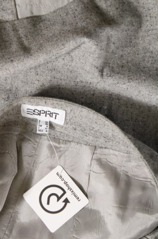 Φούστα Esprit, Μέγεθος S, Χρώμα Γκρί, Τιμή 14,49 €