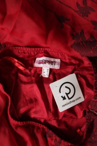 Rock Esprit, Größe M, Farbe Rot, Preis € 28,79