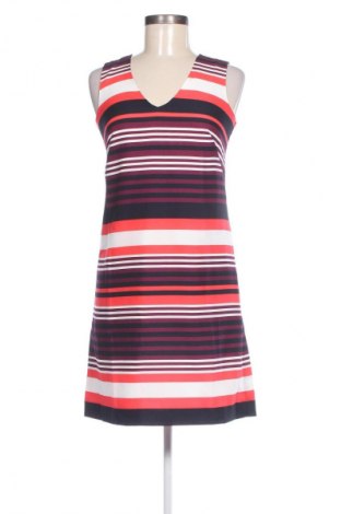 Kleid Ann Taylor, Größe S, Farbe Mehrfarbig, Preis 20,49 €