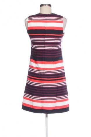 Rochie Ann Taylor, Mărime S, Culoare Multicolor, Preț 94,99 Lei