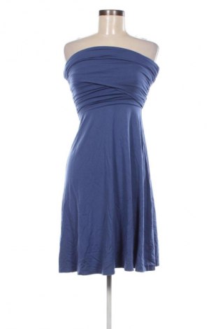 Kleid Ann Taylor, Größe XS, Farbe Blau, Preis € 20,49