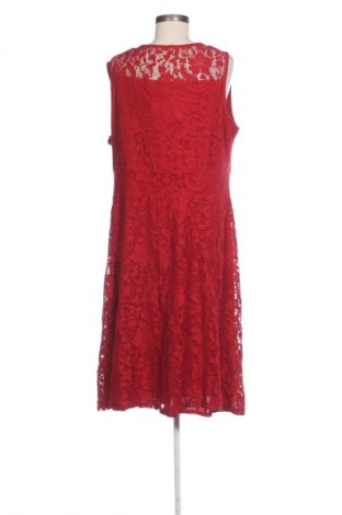 Kleid Anna Field, Größe L, Farbe Rot, Preis € 13,49