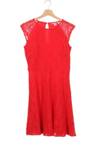 Kleid Anna Field, Größe S, Farbe Rot, Preis 14,49 €