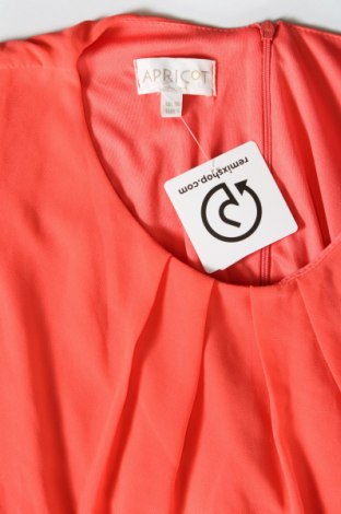 Kleid Apricot, Größe S, Farbe Orange, Preis € 16,99