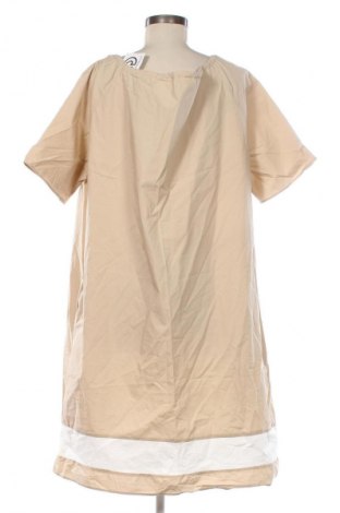 Kleid COS, Größe XXL, Farbe Beige, Preis 29,99 €