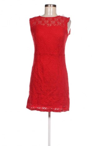 Kleid Camaieu, Größe S, Farbe Rot, Preis 13,49 €