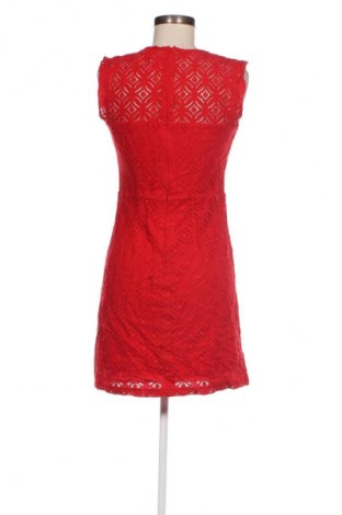 Kleid Camaieu, Größe S, Farbe Rot, Preis 13,29 €