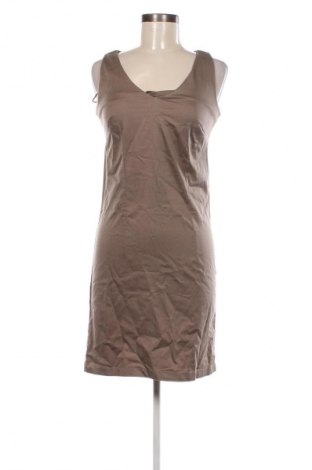 Kleid Camaieu, Größe XS, Farbe Braun, Preis 8,49 €