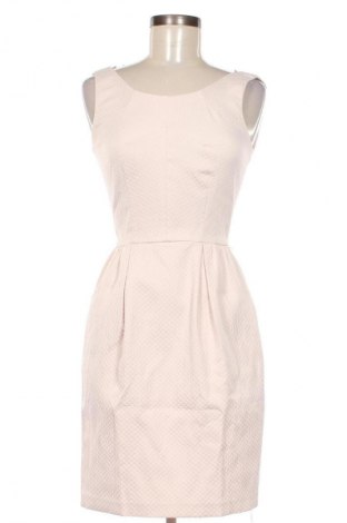 Kleid Coast, Größe XS, Farbe Rosa, Preis € 10,49