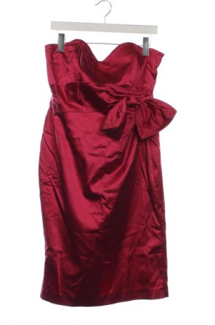 Kleid Coast, Größe XL, Farbe Rosa, Preis € 30,49