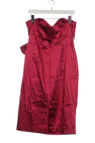 Kleid Coast, Größe XL, Farbe Rosa, Preis 26,99 €