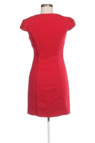 Kleid Coast, Größe S, Farbe Rot, Preis 28,99 €