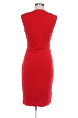 Kleid Coast, Größe M, Farbe Rot, Preis 37,49 €